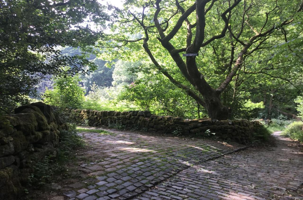 Tyas Cottage Slaithwaite Exteriér fotografie